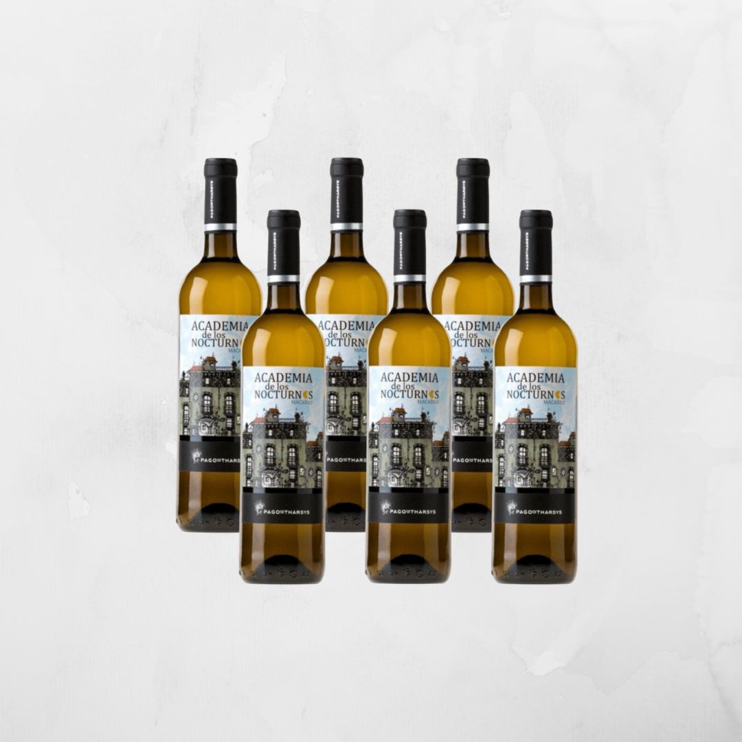 Academia Nocturnos Macabeo, Spain (6 bottle case)